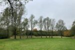 Testez vos connaissances sur le parc Chedeville !